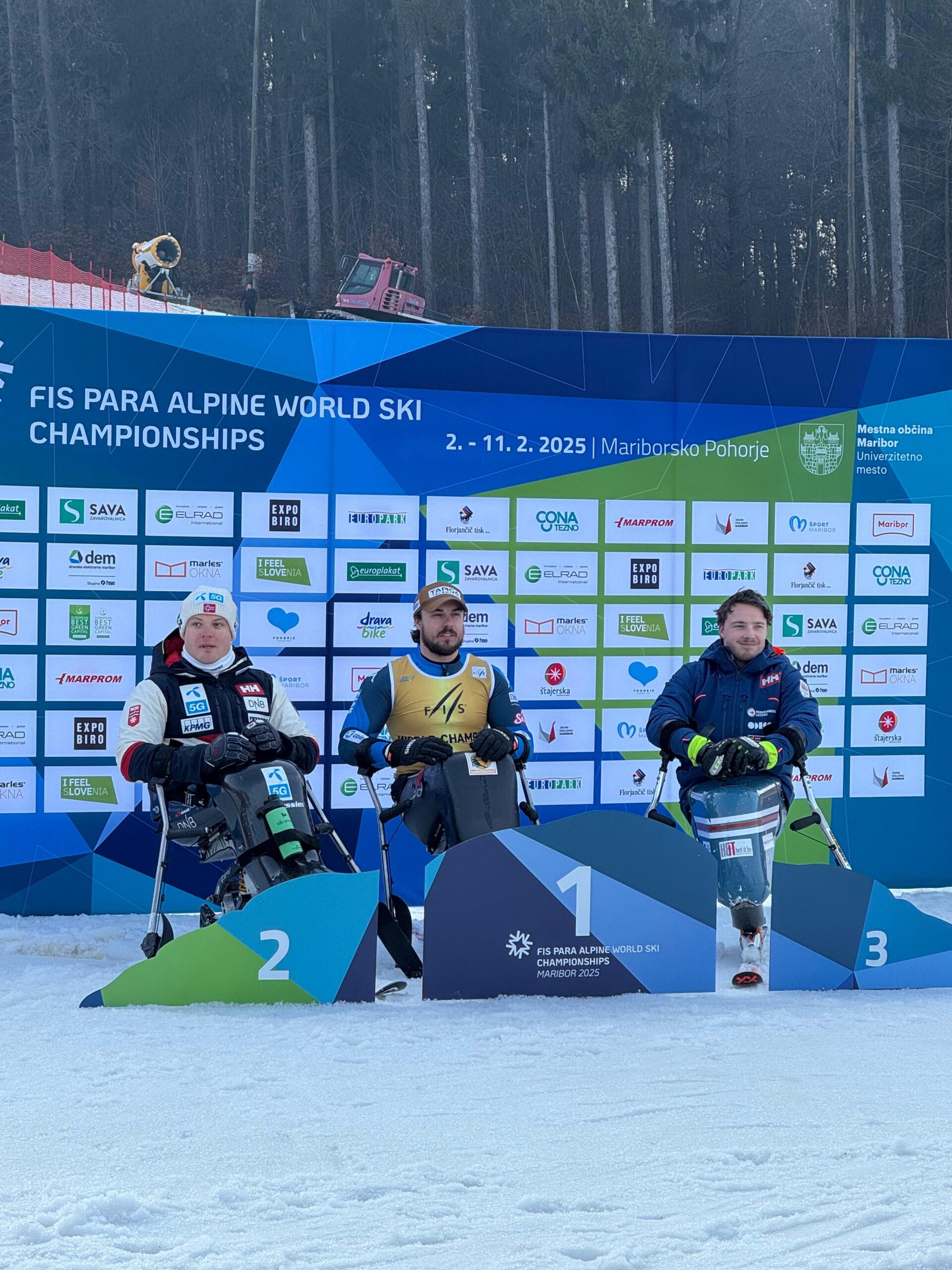 de silvestro scaled 1