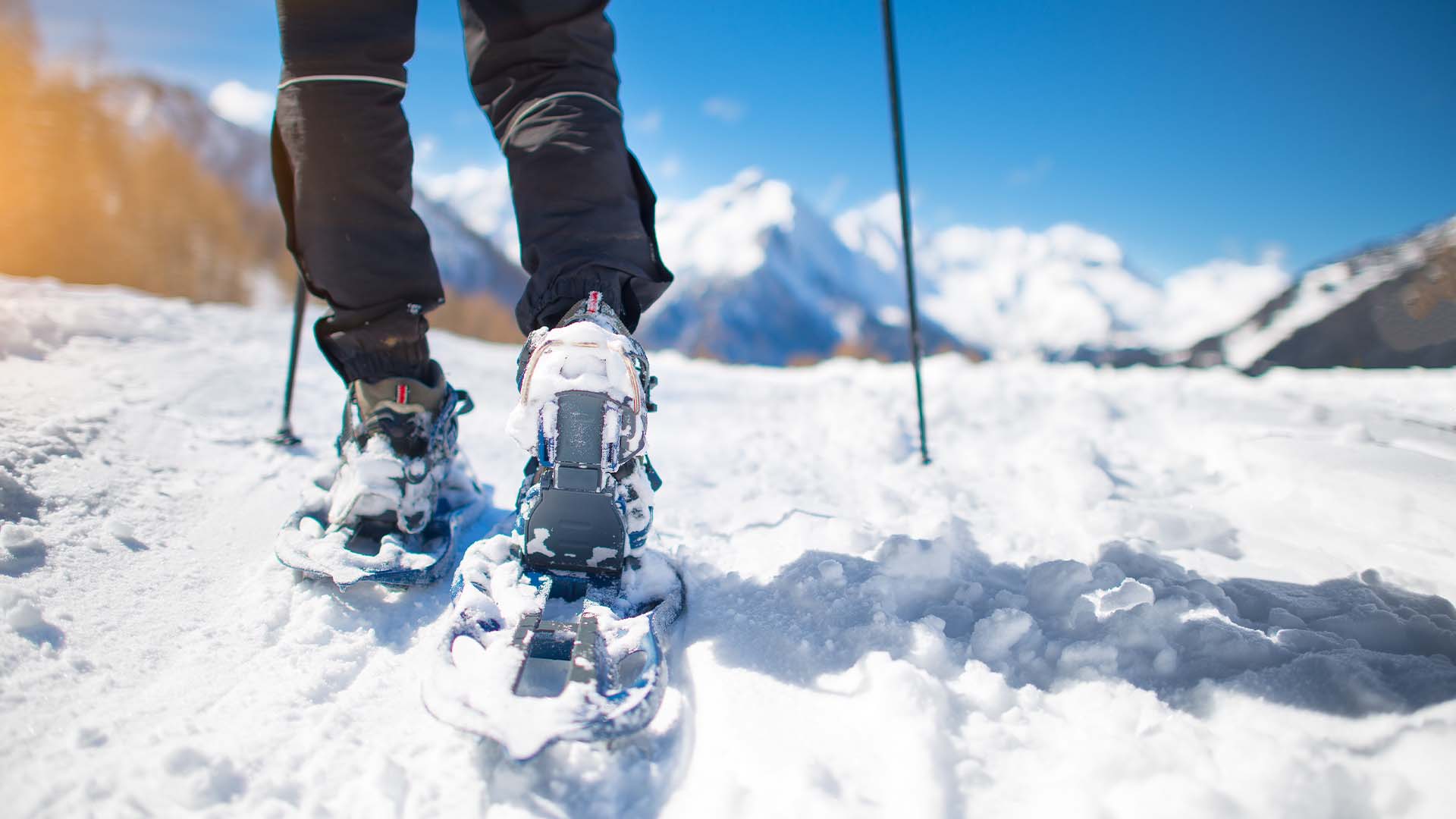 img open day sulla neve