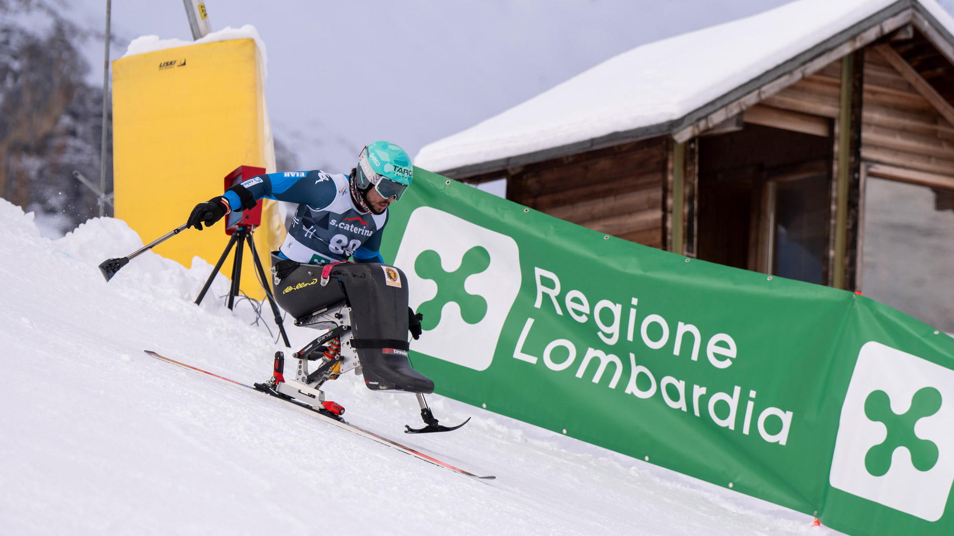 img news perathoner bertagnolli desilvestro collare oro